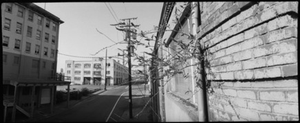 Portland, 1979 Portland, 1979