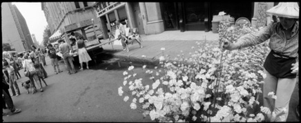 New York, 1981 New York, 1981