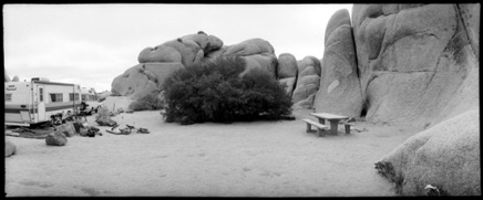Joshua Tree, 1982 Joshua Tree, 1982