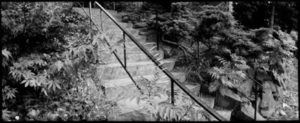 Portland, 1983 Portland, 1983